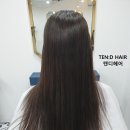 텐디헤어