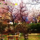 봄커뮤니케이션즈 - 울주군 울산역1길 5 | 봄커뮤니케이션즈