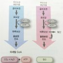 안산피티 맥스짐 이미지