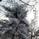 봉양마을회관 이미지