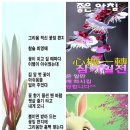 최*영 이미지