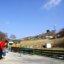 진부목장 이미지