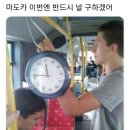 다봄 이미지