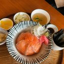 [홍대] 사케동 가츠동 텐동 맛집 교토 가정식 덮밥 치히로 후기