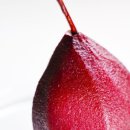 한돌농장 이미지