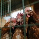 삼성메디약국 이미지