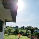 제주포레스타힐