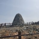 영남애드 이미지