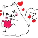 퍼스트독앤캣 이미지