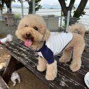 사림동253 이미지