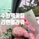리앤프라자 | 수원역 가성비 꽃집 추천 리앤플라워 수원역AK프라자점 내돈내산 후기