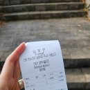 제주 여행일정 2일차 :: 오랑우탄면사무소, 티나케이크, 산방산호텔, 토끼트멍