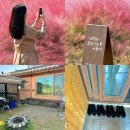 한옥이랑구들이 | 경기도 촌캉스 숙소 핑크뮬리 서울근교 평택펜션 한옥이랑구들이