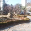 황지유리 이미지