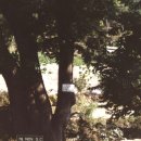 오리초등학교 이미지