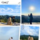 들돌길 | [사패산] (4)번째 등산 후기 / 진달래 꽃길 제대로 힐링하고 온 날