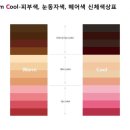 퍼스널컬러이미지호