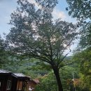 국립미천골자연휴양림 | 양양 미천골 자연 휴양림 숙박정보 후기