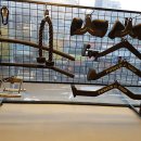 바디킹PT샵 이미지