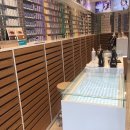 오렌즈 사상점 이미지