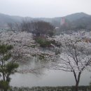연화지 이미지