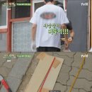 삼시세끼 이미지