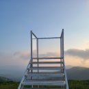 데이지꽃도 별도 못봤지만 그래도 가볼만한 평창 청옥산 육백마지기 차박 솔직후기(feat. 아라리보리밥)