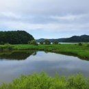 죽정습지 이미지