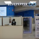 블루페퍼 안경 소사점 이미지