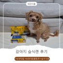 더위캔 | 몸에 열 많은 강아지에게 급여해본 보양대첩캔 후기｜강아지간식으로도 만족