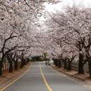 순천금당고등학교 이미지