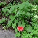 서당공원 화장실 이미지