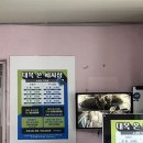 대복세차장 이미지