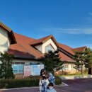 복술농장 | 안성팜랜드 두아들 주말나들이 가축아카데미/ 면양마을/ 토끼마을 /동물체험 /농장동물체험 최고