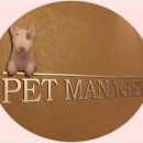 애견매니저 이미지