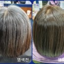 큐사랑호남지사전주점