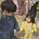 봄꽃블럭마당 | 2026 여의도 국회 봄소풍, 유모차 끌고 지하철로 다녀온 후기