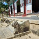 옥천리삼층석탑및유물일괄 | 법보전과 대적광전의 비로자나불은 1,100년 전부터 있었던 쌍둥이 목불이었다 - 해인사 2