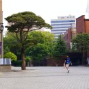 갤러리가구 - 안산시 상록구 성호로 258 | 갤러리가구