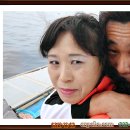 동해세꼬시 이미지