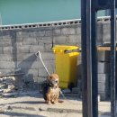 동일칼국수 이미지