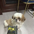 (주)엠엑스코리아 네이버블로그