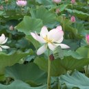 용성3길 이미지