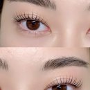 수원-1824 이미지