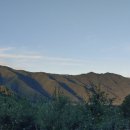 대정연가 이미지