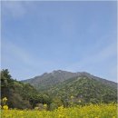 바로공인중개사사무소 | 조례동공인중개사와 송천부동산의 법무를 통한 안전 거래