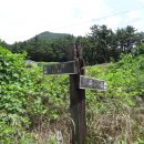 `7월22일(토) 전남 여수시 (봉양마을-봉수산-자주봉산-천마산) 무술목 이미지