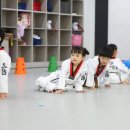 으뜸태권도 이미지