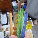 지동야채