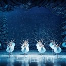 백조관광펜션 이미지